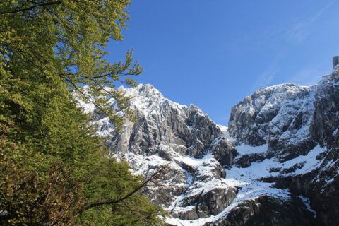 Berglage - Alpengasthof & Hotel in Mühlbach am Hochkönig