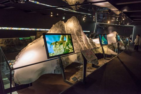 Nationalparkzentrum Hohe Tauern - Ausflugsziele im Salzburger Land